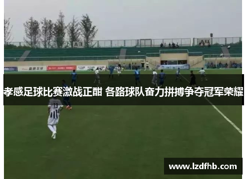 孝感足球比赛激战正酣 各路球队奋力拼搏争夺冠军荣耀